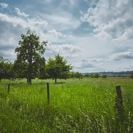 Maas En Heuvel Maastricht 3* アイスデン