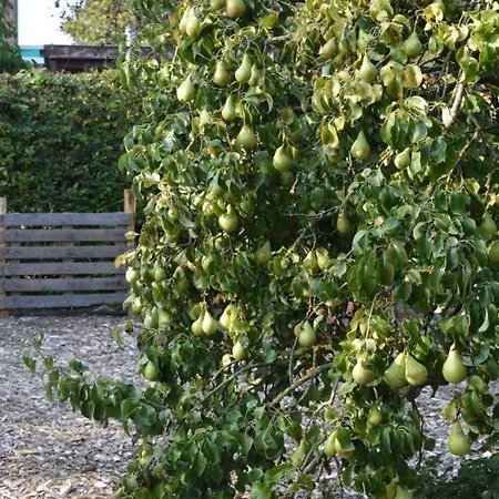 B&B Maas En Heuvel Maastricht 3*